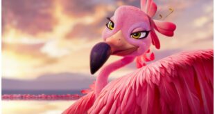Animated Adventure Comedy ‘Flamingo Flamenco’ to Be Launched by Studio 100 Film at European Film Market (EXCLUSIVE)...