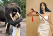 Adah Sharma Viral Video: The Kerala Story Actress Gives Elephants A Bath, Her Fitness Regime Will Surprise You...